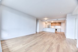 Living Room - 