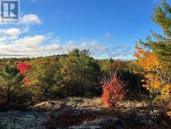 411 HARDWOOD Road Mckerrow, ON P0P 1M0