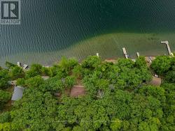 Aerial - 