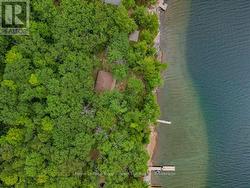 Aerial - 