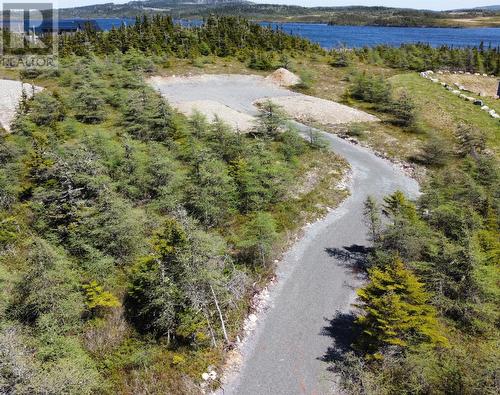 14 Rhodies Pond Grove, Placentia Junction, NL 
