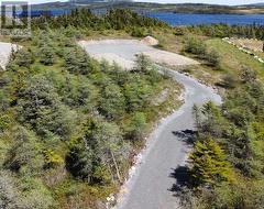 14 Rhodies Pond Grove  Placentia Junction, NL A0B 3K0