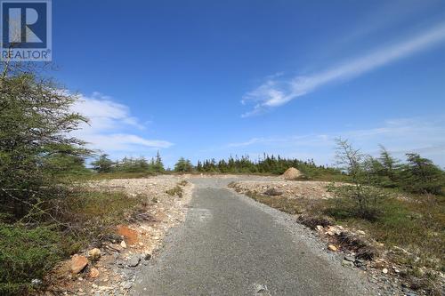 14 Rhodies Pond Grove, Placentia Junction, NL 