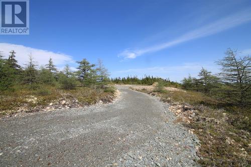 14 Rhodies Pond Grove, Placentia Junction, NL 