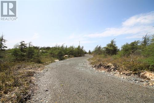 14 Rhodies Pond Grove, Placentia Junction, NL 