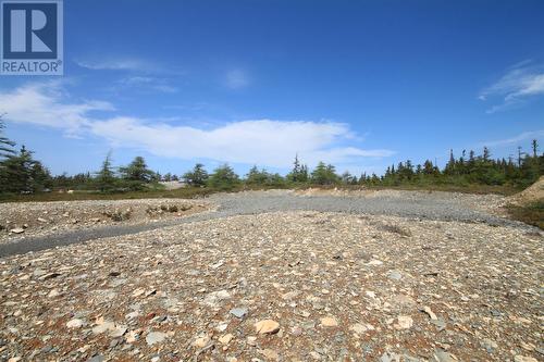 14 Rhodies Pond Grove, Placentia Junction, NL 