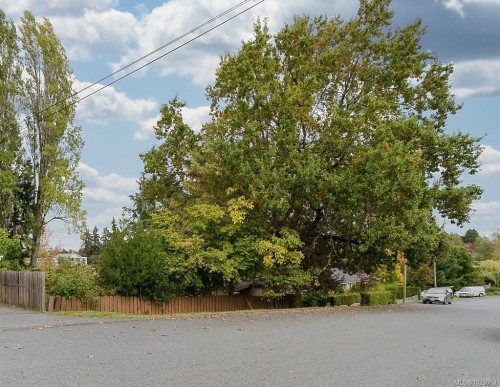 436 Wharton St, Nanaimo, BC 