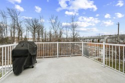 Patio - 