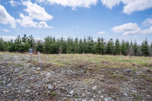 Terre/Terrain - 584 Rue Gauthier, Saint-Théophile, QC 