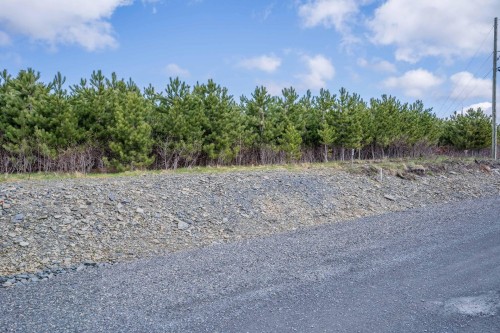 Terre/Terrain - 584 Rue Gauthier, Saint-Théophile, QC 