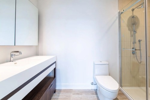 Salle de bains - 1107-1200 Rue Drummond, Montréal (Ville-Marie), QC - Indoor Photo Showing Bathroom