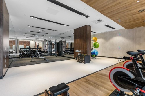 Salle d'exercice - 1107-1200 Rue Drummond, Montréal (Ville-Marie), QC - Indoor