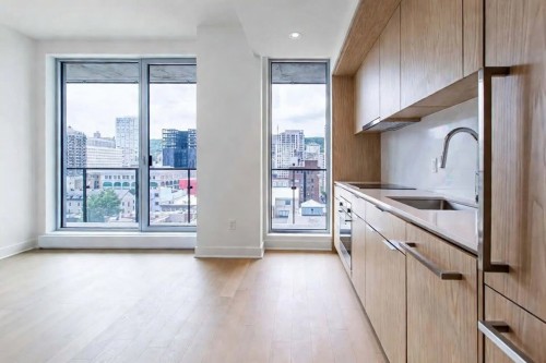 Cuisine - 1107-1200 Rue Drummond, Montréal (Ville-Marie), QC - Indoor Photo Showing Kitchen