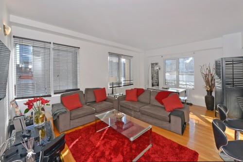 Salon - 303-2000 Rue Drummond, Montréal (Ville-Marie), QC - Indoor Photo Showing Living Room