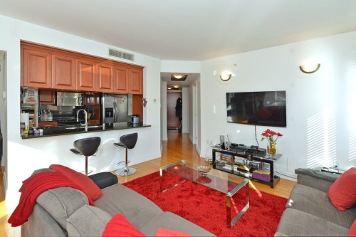 Salon - 303-2000 Rue Drummond, Montréal (Ville-Marie), QC - Indoor Photo Showing Living Room