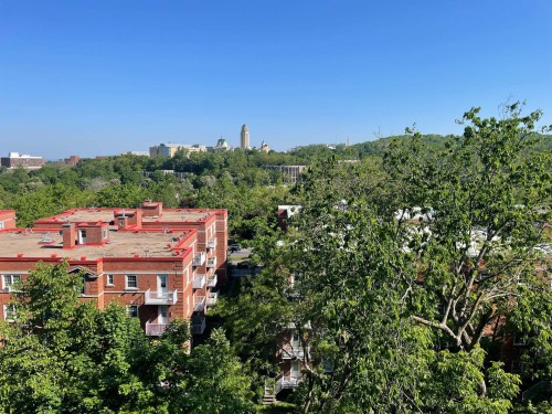 Vue - 206-3375 Av. Ridgewood, Montréal (Côte-Des-Neiges/Notre-Dame-De-Grâce), QC - Outdoor With View