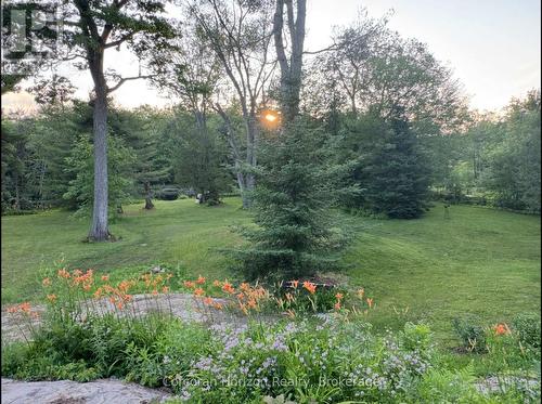 3000 Whelan Way, Ramara, ON - Outdoor