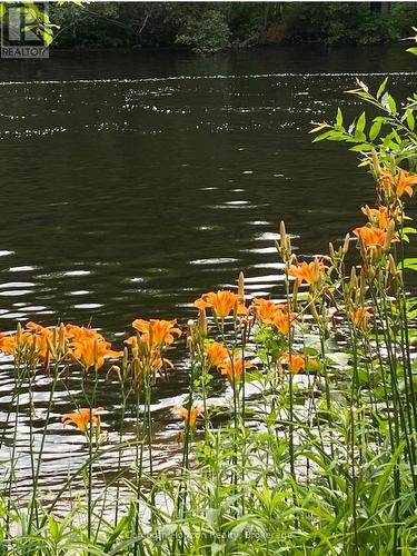 3000 Whelan Way, Ramara, ON - Outdoor With Body Of Water