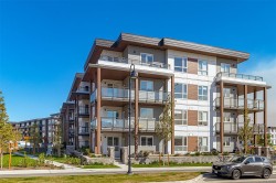 202-3564 Ryder Hesjedal Way  Colwood, BC V9C 3A1