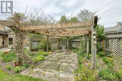 Patio and Pergola - 