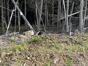 33 Alpenglow Dr, Quispamsis, NB 
