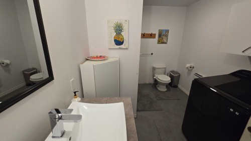 Salle de bains - 1195 Boul. Trudel E., Saint-Boniface, QC - Indoor Photo Showing Bathroom