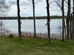 Waterfront - 