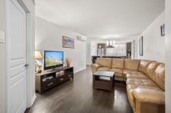 Living Room - 
