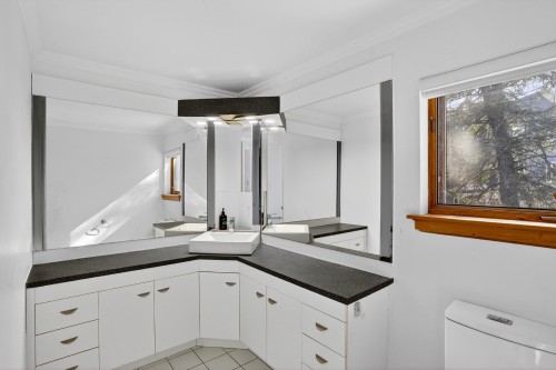 Salle d'eau - 830 Rue Des Conifères, Prévost, QC - Indoor Photo Showing Bathroom