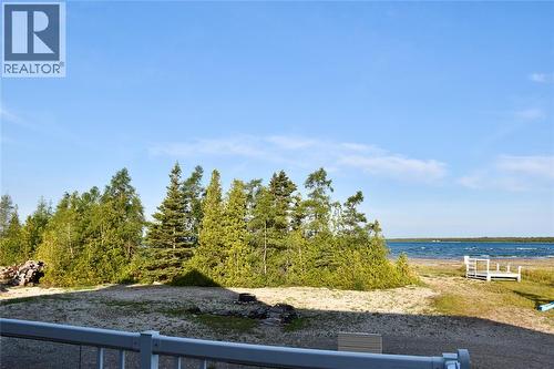 64 Baise Avenue, Bruce County, ON 
