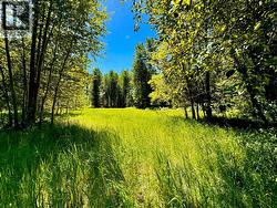 2700 14TH Avenue  Castlegar, BC V1L 1Z1