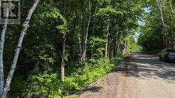 LOT 1 TALLY-HO WINTER PARK ROAD  Lake Of Bays (Sinclair), ON P1H 2E8