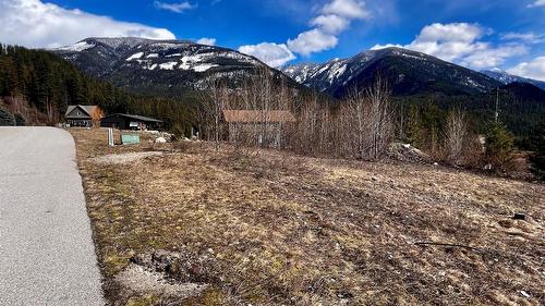 247 Fullmoon Road, Rosebery, BC - Outdoor With View