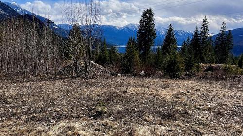 247 Fullmoon Road, Rosebery, BC - Outdoor With View