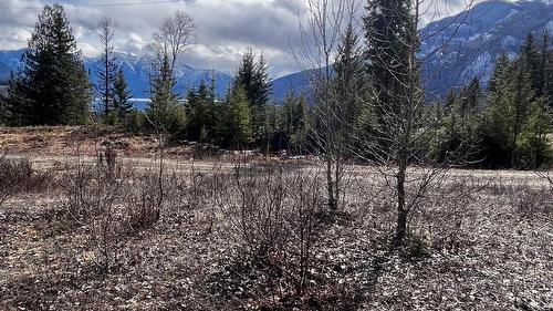 247 Fullmoon Road, Rosebery, BC - Outdoor With View