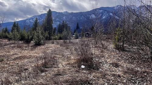 247 Fullmoon Road, Rosebery, BC - Outdoor With View