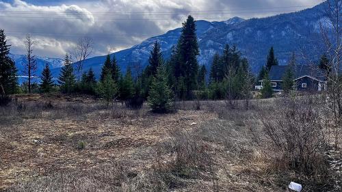 247 Fullmoon Road, Rosebery, BC - Outdoor With View