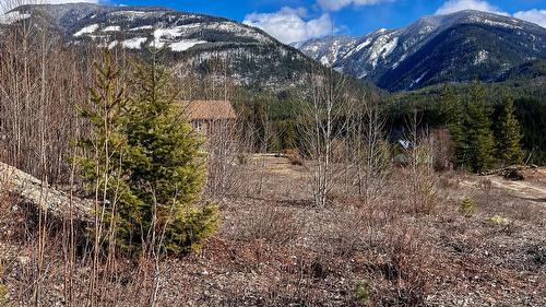 247 Fullmoon Road, Rosebery, BC - Outdoor With View