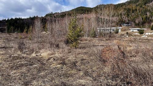 247 Fullmoon Road, Rosebery, BC - Outdoor With View
