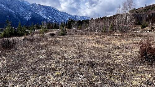 247 Fullmoon Road, Rosebery, BC - Outdoor With View