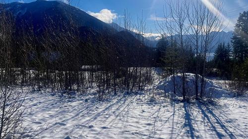 247 Fullmoon Road, Rosebery, BC - Outdoor With View