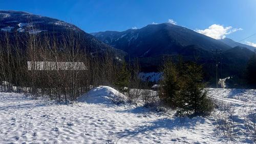 247 Fullmoon Road, Rosebery, BC - Outdoor With View