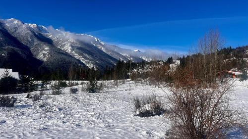 247 Fullmoon Road, Rosebery, BC - Outdoor With View