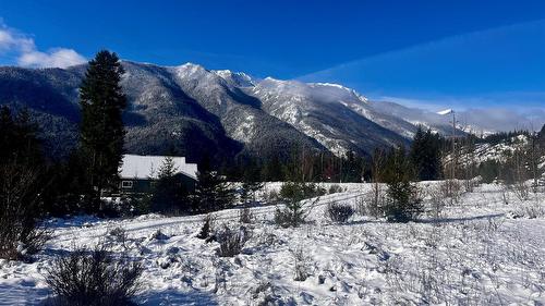 247 Fullmoon Road, Rosebery, BC - Outdoor With View