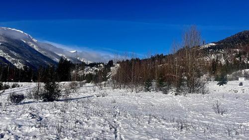 247 Fullmoon Road, Rosebery, BC - Outdoor With View