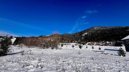 247 Fullmoon Road, Rosebery, BC - Outdoor With View