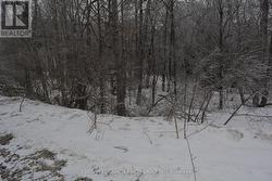 0 SUCIE ROAD Highlands East (Cardiff Ward), ON K0L 2A0