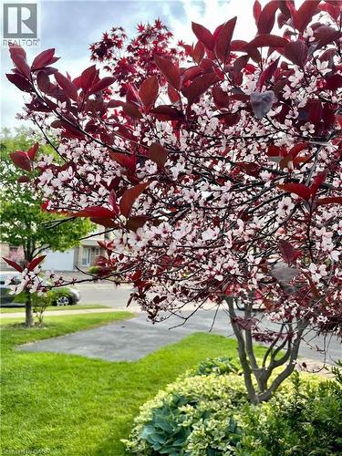 593 Southridge Drive, Hamilton, ON - Outdoor