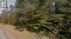 0 AIRPORT ROAD Addington Highlands (Addington Highlands), ON K0H 2G0