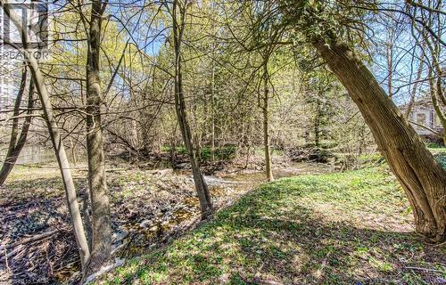 74 Mcdougall Road, Waterloo, ON - Outdoor With View